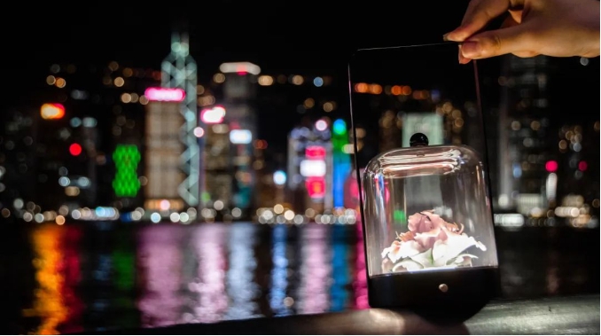 庆香港回归祖国27周年 大湾区文创企业送出一份“来自香港的礼物”-见素见喜