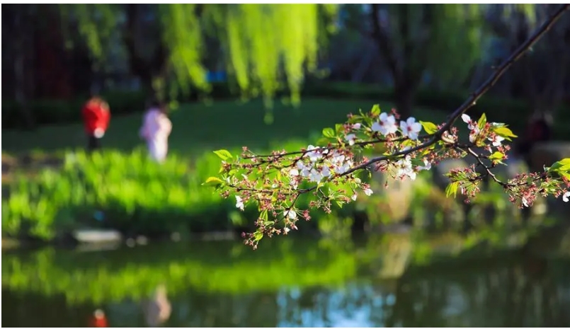 立春时节,见素见喜-见素见喜