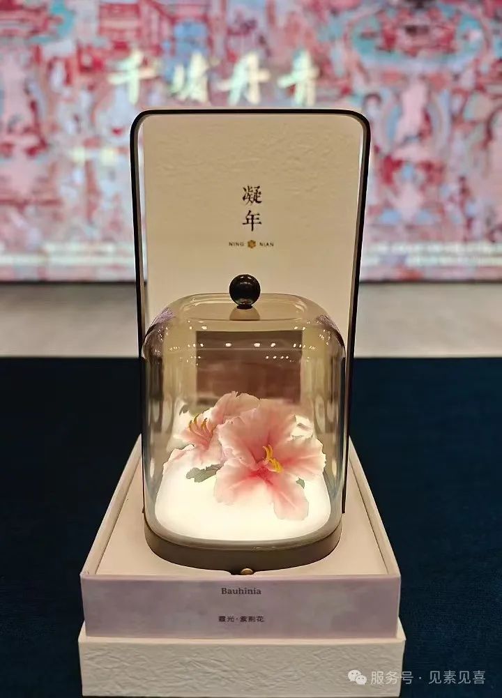 见素见喜,文化的出海-见素见喜